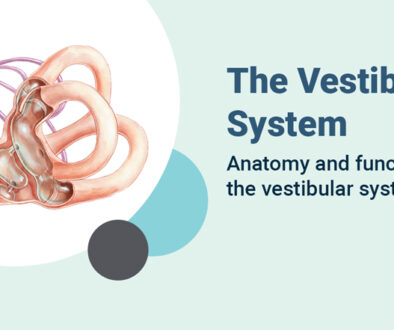 vestibular-system-en